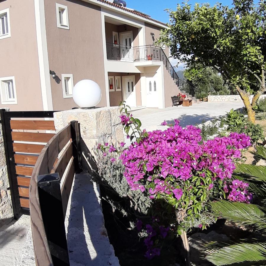 Nikoleta'S Studios Argostoli  Eksteriør bilde