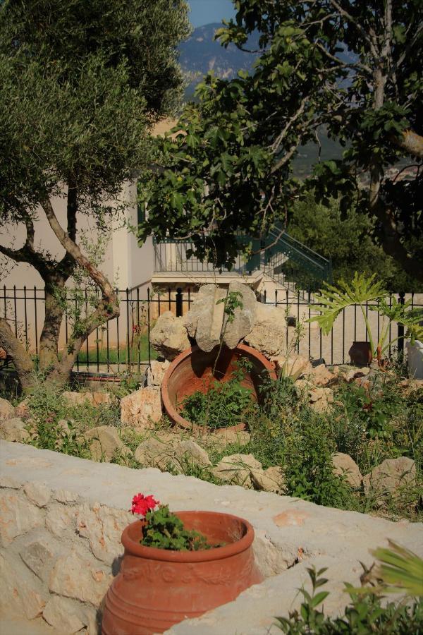 Nikoleta'S Studios Argostoli  Eksteriør bilde