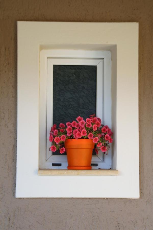 Nikoleta'S Studios Argostoli  Eksteriør bilde