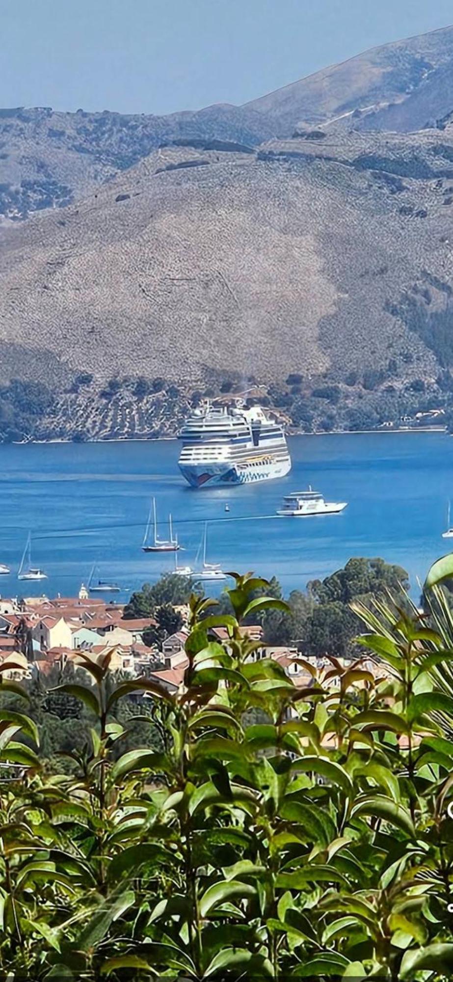 Nikoleta'S Studios Argostoli  Eksteriør bilde